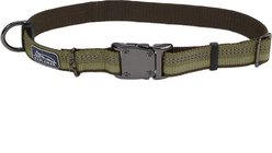 K9 Explorer Reflective Dog Collar, Fern, 12 to 18-in neck, 1-in wide