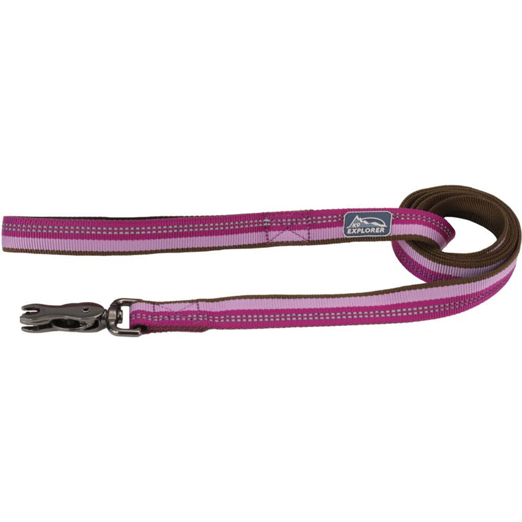 K9 Explorer Reflective Standard Dog Leash with Scissor Snap, Orchid, 6-ft long, 1-in wide
