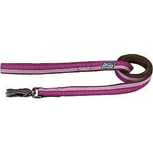 K9 Explorer Reflective Dog Leash with Scissor Snap, Orchid