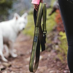 K9 Explorer Scissor Snap Reflective Dog Leash, Berry, 6-ft long, 1-in wide slide 2 of 4