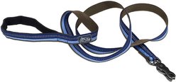 K9 Explorer Scissor Snap Reflective Dog Leash, Sapphire, 6-ft long, 1-in wide