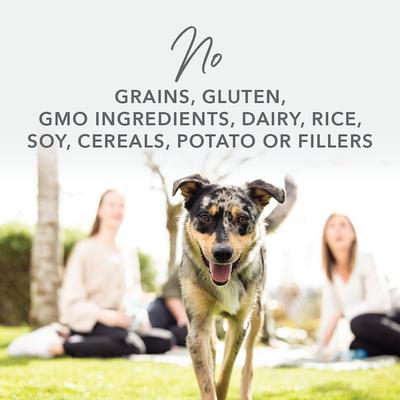 Show full view: K9 Natural Grass-Fed Lamb Feast Grain-Free Canned Dog Food, 13-oz, case of 12 slide 8 of 12