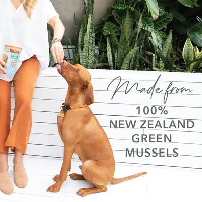 Show full view: K9 Natural Healthy Snacks Green Mussels Freeze-Dried Dog Treats, 1.76-oz bag slide 6 of 12