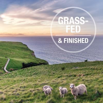 K9 Natural Lamb & King Salmon Grain-Free Freeze-Dried Dog Food