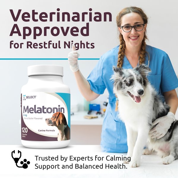 10 Best Melatonin Supplements for Dogs in 2026 - PangoVet