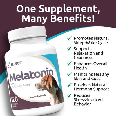 Show full view: K9 Select Melatonin 6 MG Peanut Butter Flavored Calming Supplement for Dogs, 120 count slide 7 of 9