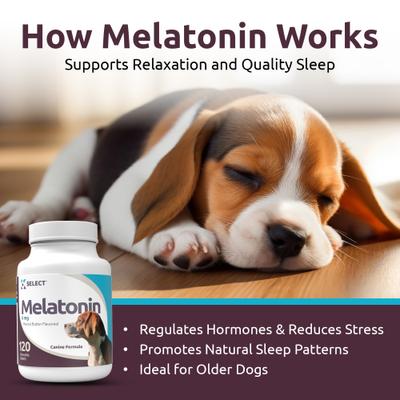 Show full view: K9 Select Melatonin 6 MG Peanut Butter Flavored Calming Supplement for Dogs, 120 count slide 4 of 9