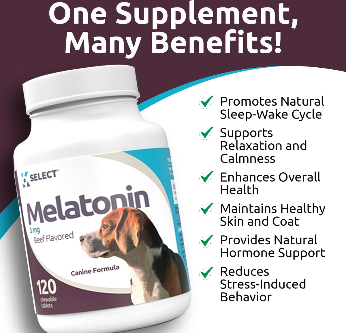 Melatonin for Dogs: Uses, Safety, Product Selection