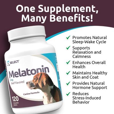 Show full view: K9 Select Melatonin Beef Flavor Calming Dog Supplement, 3-mg, 120 count slide 7 of 9