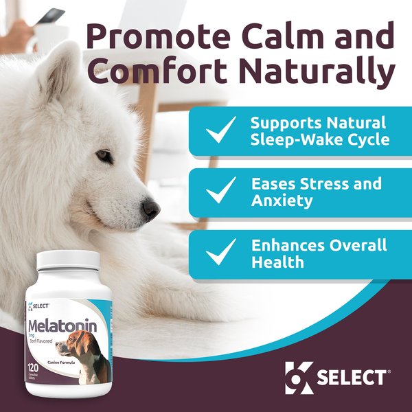Fifth & Fido Calmify Melatonin Dog Supplement