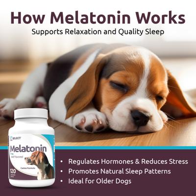 Show full view: K9 Select Melatonin Beef Flavor Calming Dog Supplement, 3-mg, 120 count slide 4 of 9