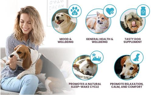 Show full view: K9 Select Melatonin Beef Flavor Calming Dog Supplement, 6-mg, 90 count slide 3 of 7