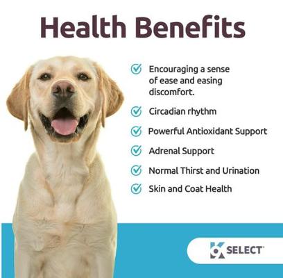 Show full view: K9 Select Melatonin Beef Flavor Calming Dog Supplement, 6-mg, 90 count slide 4 of 7