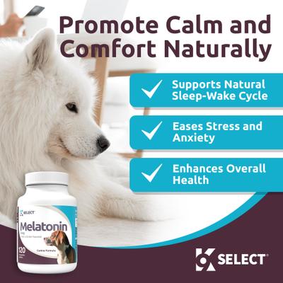Show full view: K9 Select Melatonin Peanut Butter Flavor Calming Dog Supplement, 3-mg, 120 count slide 3 of 9