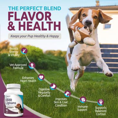 Show full view: K9 Select Peanut Butter HMR Lignans Dog Hormone Supplement, 20 mg, 90 count slide 5 of 7