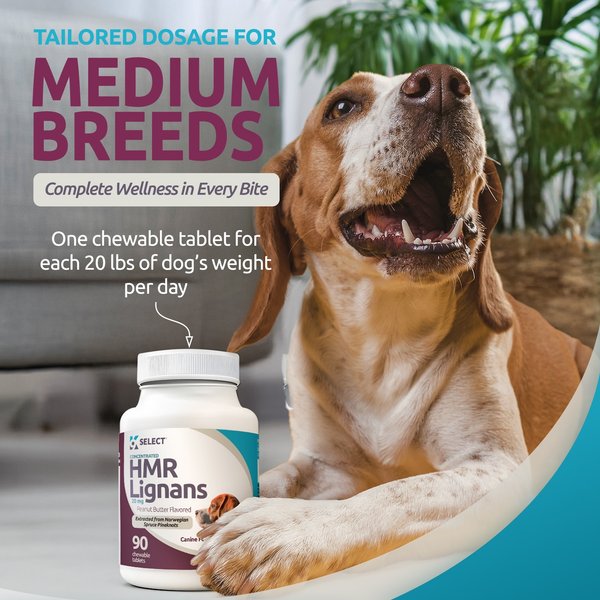 K9 Select Peanut Butter HMR Lignans Dog Hormone Supplement, 20 mg, 90 count