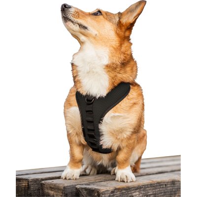 K9 Sport Sack K9 Sport Sack Dog Harness, Black, Large