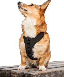 K9 Sport Sack Dog Harness, Black, Medium