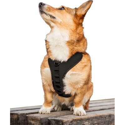 K9 Sport Sack K9 Sport Sack Dog Harness, Black, Medium
