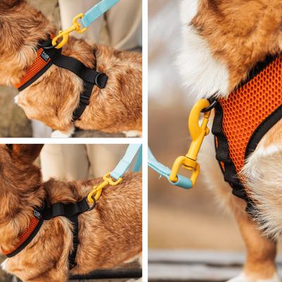 Show full view: K9 Sport Sack Dog Harness, Black, Small slide 8 of 9