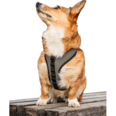 K9 Sport Sack K9 Sport Sack Dog Harness, Gray, Medium