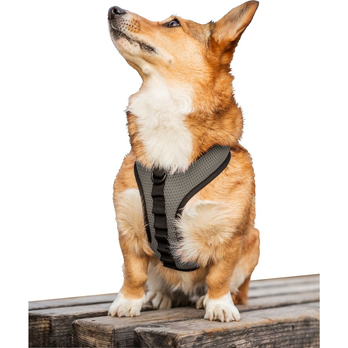 K9 Sport Sack Dog Harness, Gray, X-Small