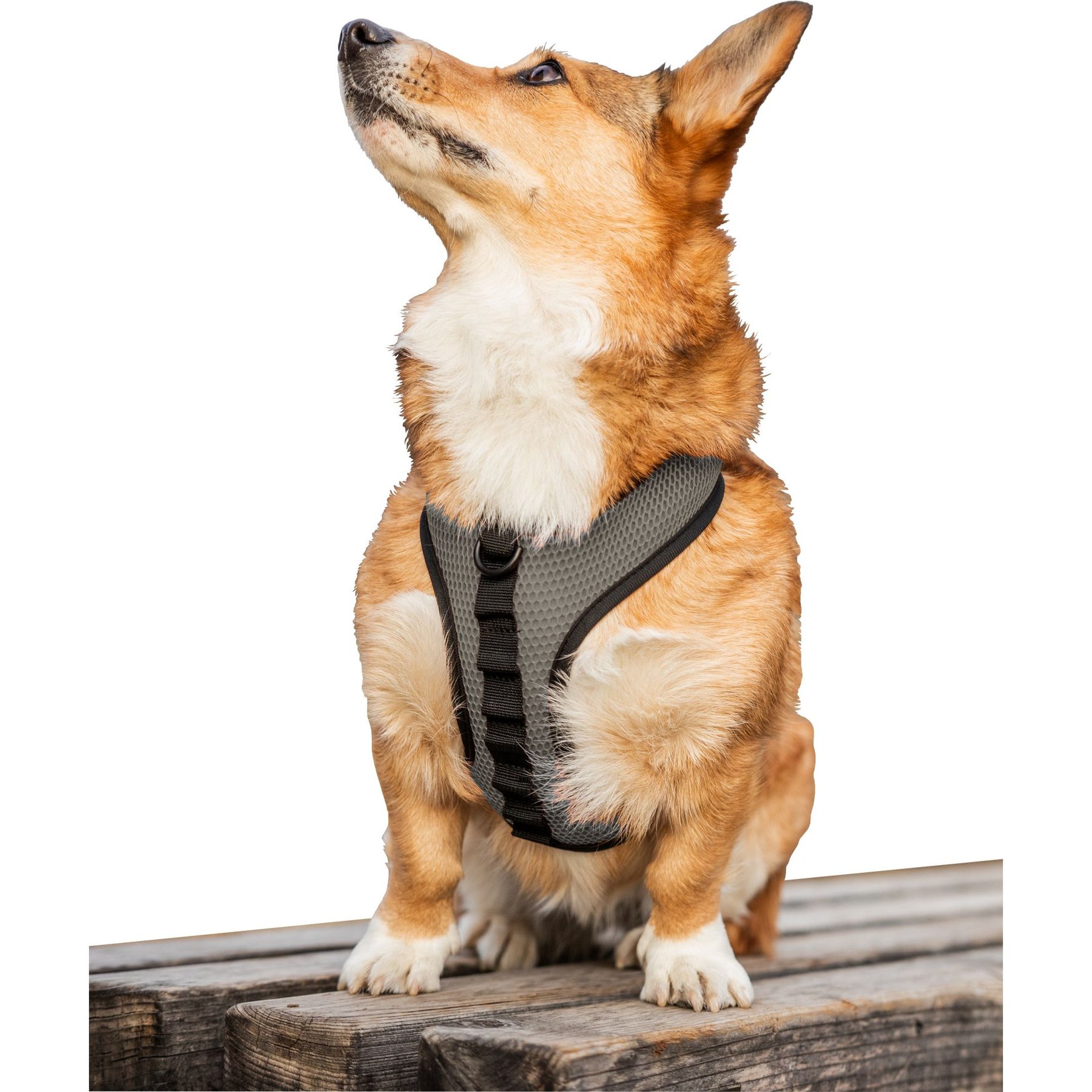 K9 Sport Sack Dog Harness, Gray, X-Small