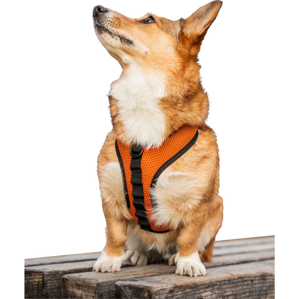 K9 Sport Sack Dog Harness, Orange, X-Small