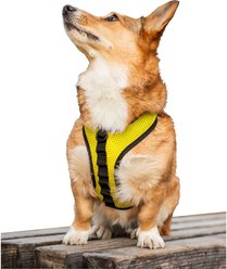 K9 Sport Sack Dog Harness, Yellow, Large