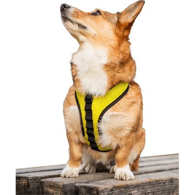 K9 Sport Sack K9 Sport Sack Dog Harness, Yellow, X-Small