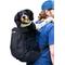 Show in main carousel: K9 Sport Sack Plus 2 Forward Facing Dog Carrier Backpack, Black, Medium slide 1 of 11