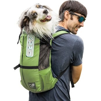 K9 Sport Sack - Free shipping | Chewy