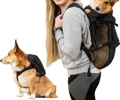 K9 Sport Sack Walk-On Packable Backpack Dog Carrier, Black, Medium