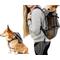 Show in main carousel: K9 Sport Sack Walk-On Packable Backpack Dog Carrier, Grey, Large slide 1 of 9