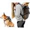 Show in main carousel: K9 Sport Sack Walk-On Packable Backpack Dog Carrier, Grey, X-Small slide 1 of 9