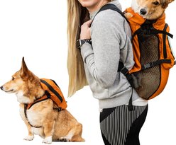 K9 Sport Sack Walk-On Packable Backpack Dog Carrier, Orange, Small