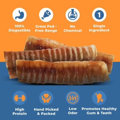 Show full view: K9warehouse 10 to 12-in Trachea Tubes Dog Treats, 6 count slide 4 of 6