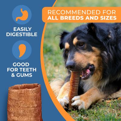 Show full view: K9warehouse 10 to 12-in Trachea Tubes Dog Treats, 6 count slide 3 of 6
