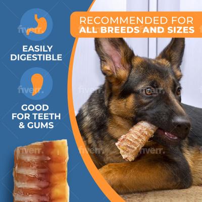 Show full view: K9warehouse 5 to 6-in Trachea Tubes Dog Treats, 12 count slide 4 of 5