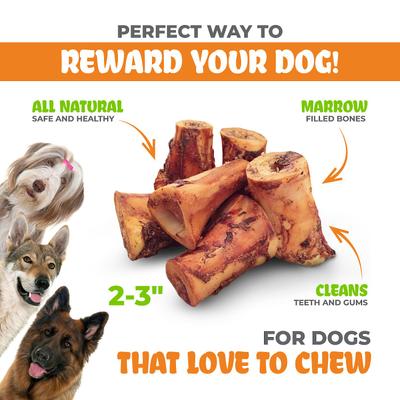 Show full view: K9warehouse Beef Marrow 2-3-in Dog Bone Treats, 3 count slide 4 of 7