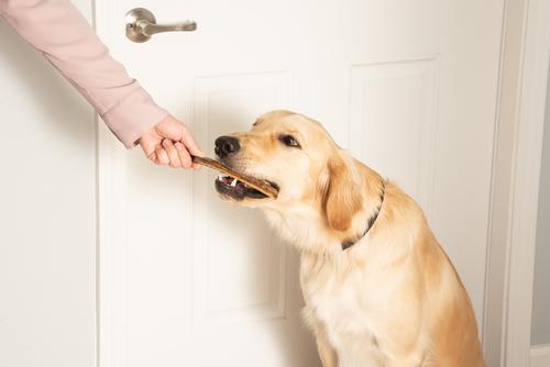 Show full view: K9warehouse Beef Rib Bones Dog Chew Treats, 8 count slide 5 of 10