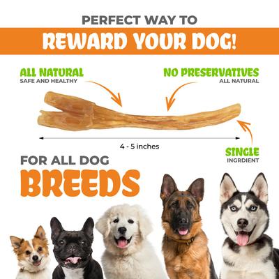 Show full view: K9warehouse Beef Tendon Chews Dog Chew Treats, 25 count slide 6 of 10