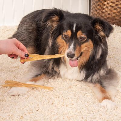 Show full view: K9warehouse Beef Tendon Chews Dog Chew Treats, 6 count slide 5 of 10