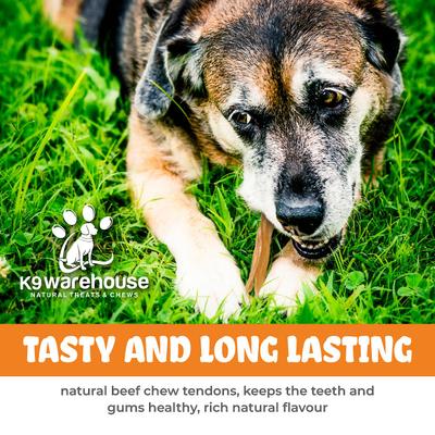 Show full view: K9warehouse Beef Tendon Chews Dog Chew Treats, 6 count slide 8 of 10