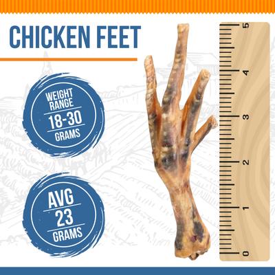 Show full view: K9warehouse Chicken Feet Chicken Flavored Dog Chews, 12 count slide 3 of 7