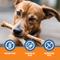 Show in main carousel: K9warehouse Collagen Sticks 6-in Dog Treats, 12 count slide 5 of 5