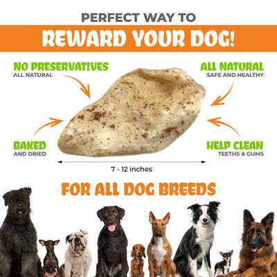 Show full view: K9warehouse Cow Ears with Bully Sticks Dog Chew Treats, 10 count slide 4 of 11