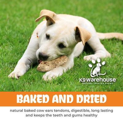 Show full view: K9warehouse Cow Ears with Bully Sticks Dog Chew Treats, 10 count slide 6 of 11