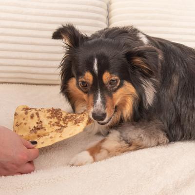 Show full view: K9warehouse Cow Ears with Bully Sticks Dog Chew Treats, 10 count slide 9 of 11