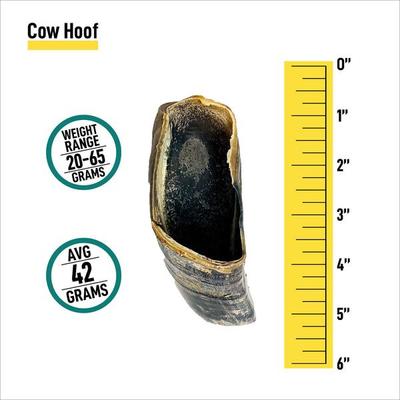 Show full view: K9warehouse Cow Hooves Beef Flavored Dog Chews, 12 count slide 4 of 8